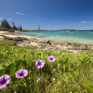 Norfolk Island Holiday Homes