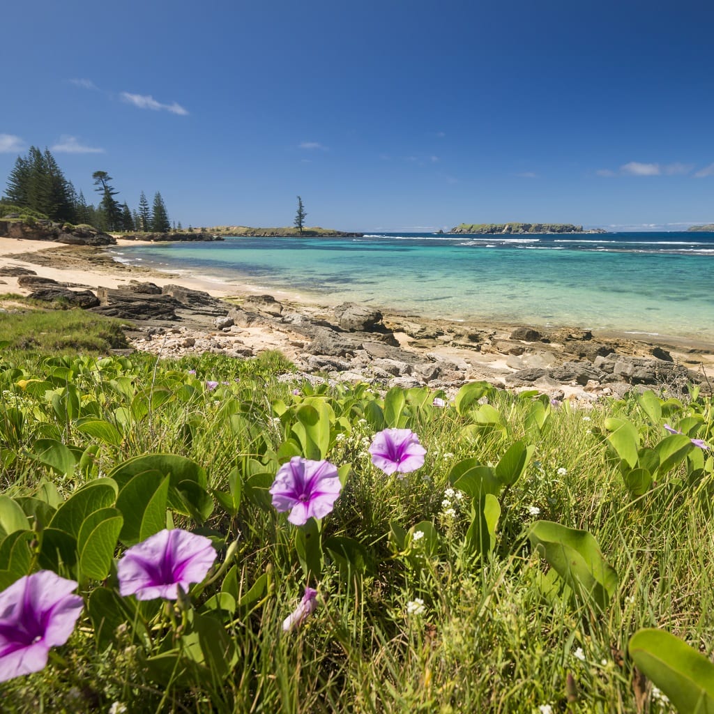 Norfolk Island Holiday Homes