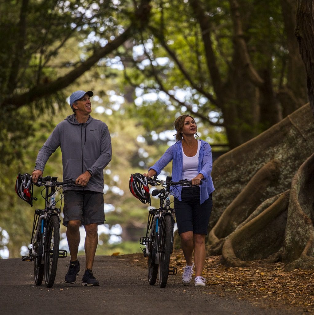 Bikes 1
