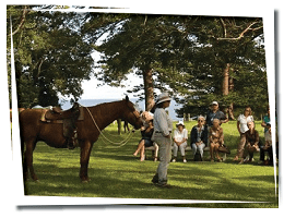 Behind the Hedges - tours & activities