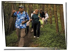 Breakfast Bushwalk - tours & activities