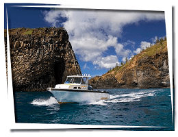 Charter Marine - tours & activities