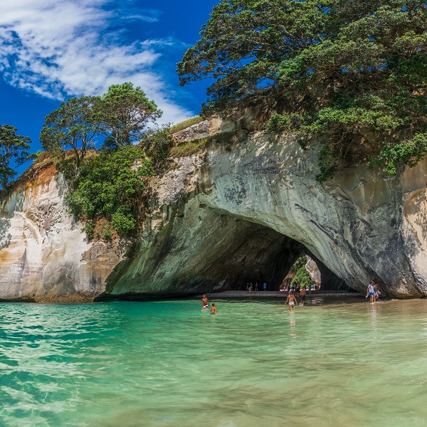 new-zealand-packages-beach