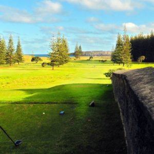 Castaway Invitational Pairs Golf Tournament