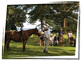 Behind the Hedges Tour