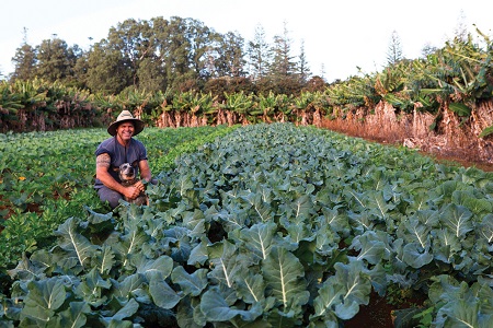 Farm and Industry Tour