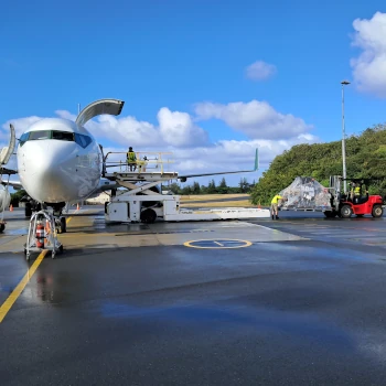 Cargo Services 2026-4